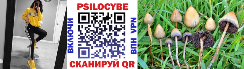 купить  сайты  Павловская  darknet Telegram  Псилоцибиновые грибы Psilocybe 