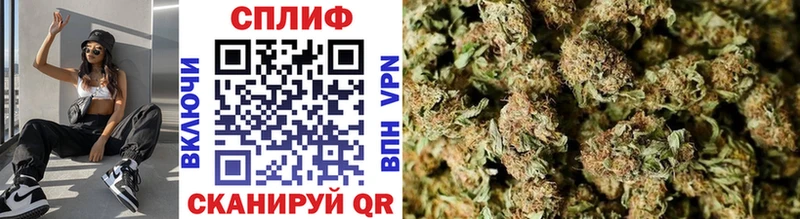 где купить наркоту  Павловская  Бошки марихуана OG Kush 